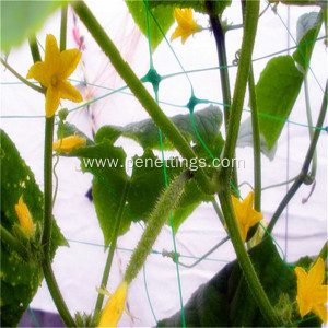 Garden Plant Support Trellis Net for Flowers Climbing